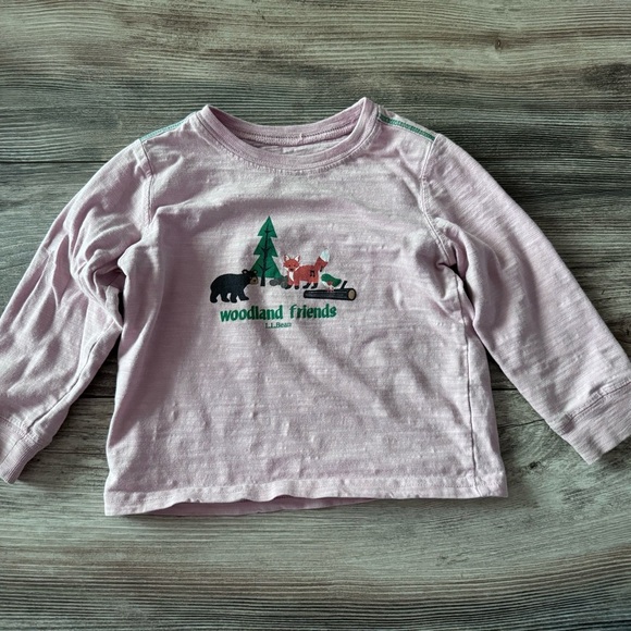 L.L. Bean Other - L.L. Bean Pink Long Sleeve Tee with Evergreen Design